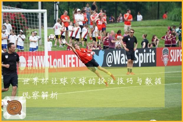 世界杯让球买球的投注技巧与数据观察解析