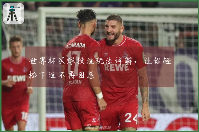 世界杯买球投注玩法详解，让你轻松下注不再困惑
