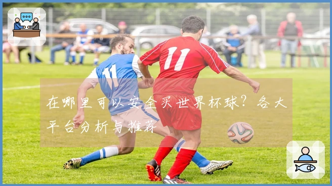 在哪里可以安全买世界杯球？各大平台分析与推荐