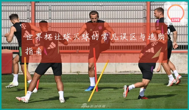 世界杯让球买球的常见误区与选购指南