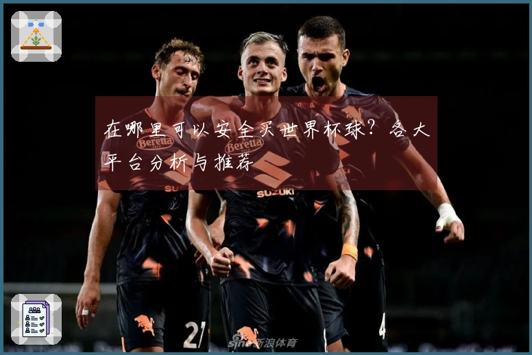 在哪里可以安全买世界杯球？各大平台分析与推荐