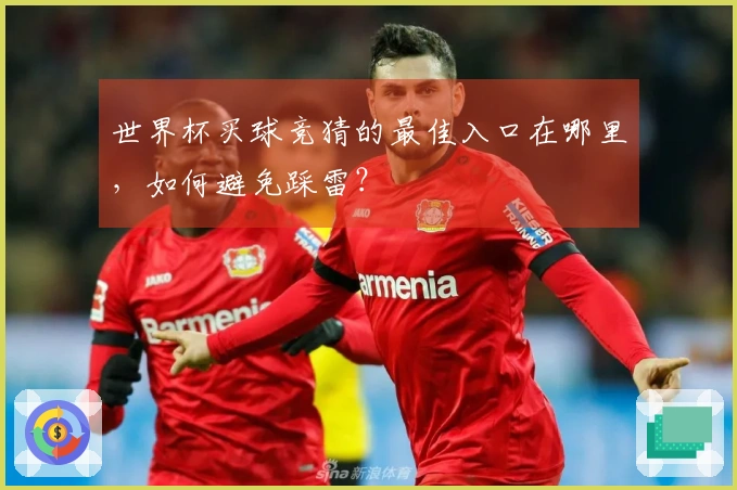 世界杯买球竞猜的最佳入口在哪里，如何避免踩雷？