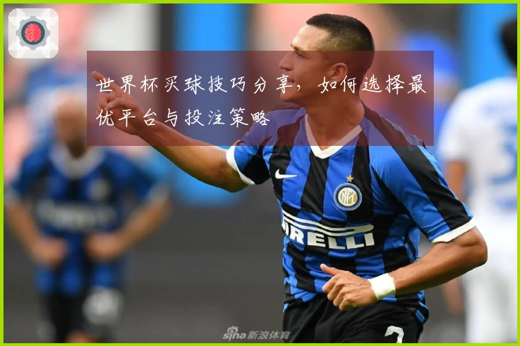 世界杯买球技巧分享，如何选择最优平台与投注策略